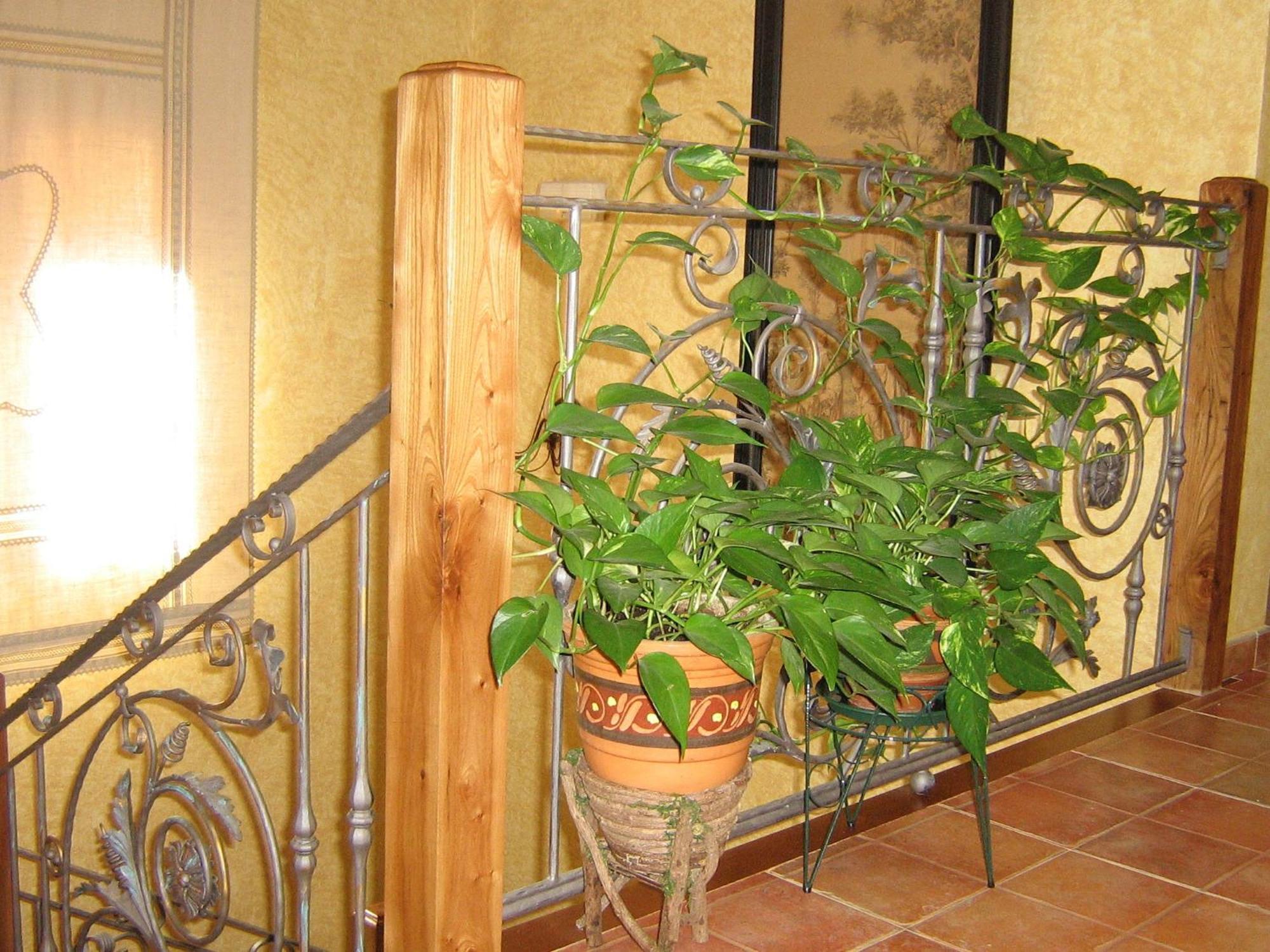 Hotel Rural El Museo Cedillo de la Torre ภายนอก รูปภาพ